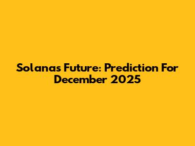 Solana's Future: Prediction For December 2025